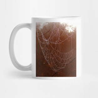 Arachnid branches close up cobweb Mug